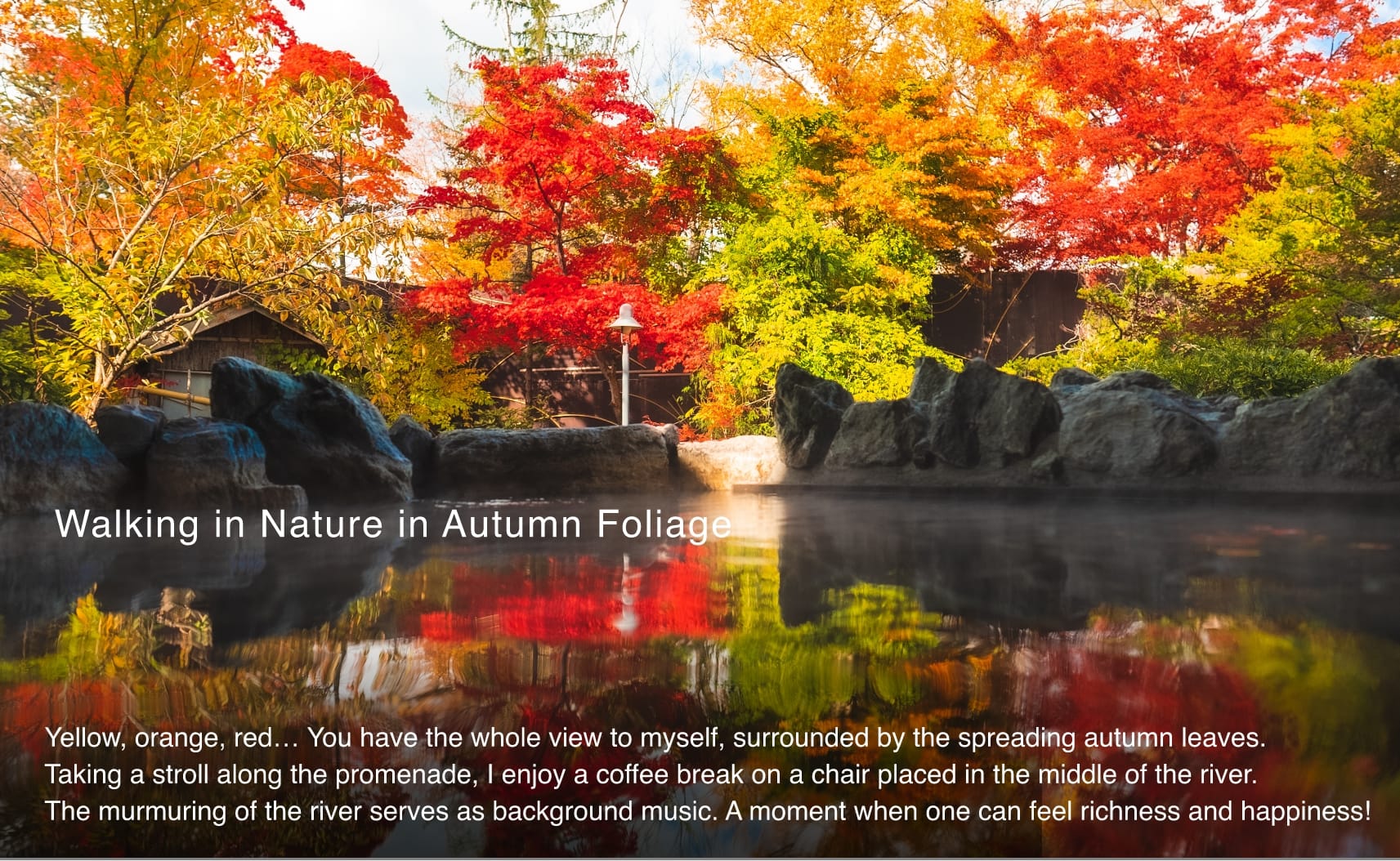紅葉の自然を散歩