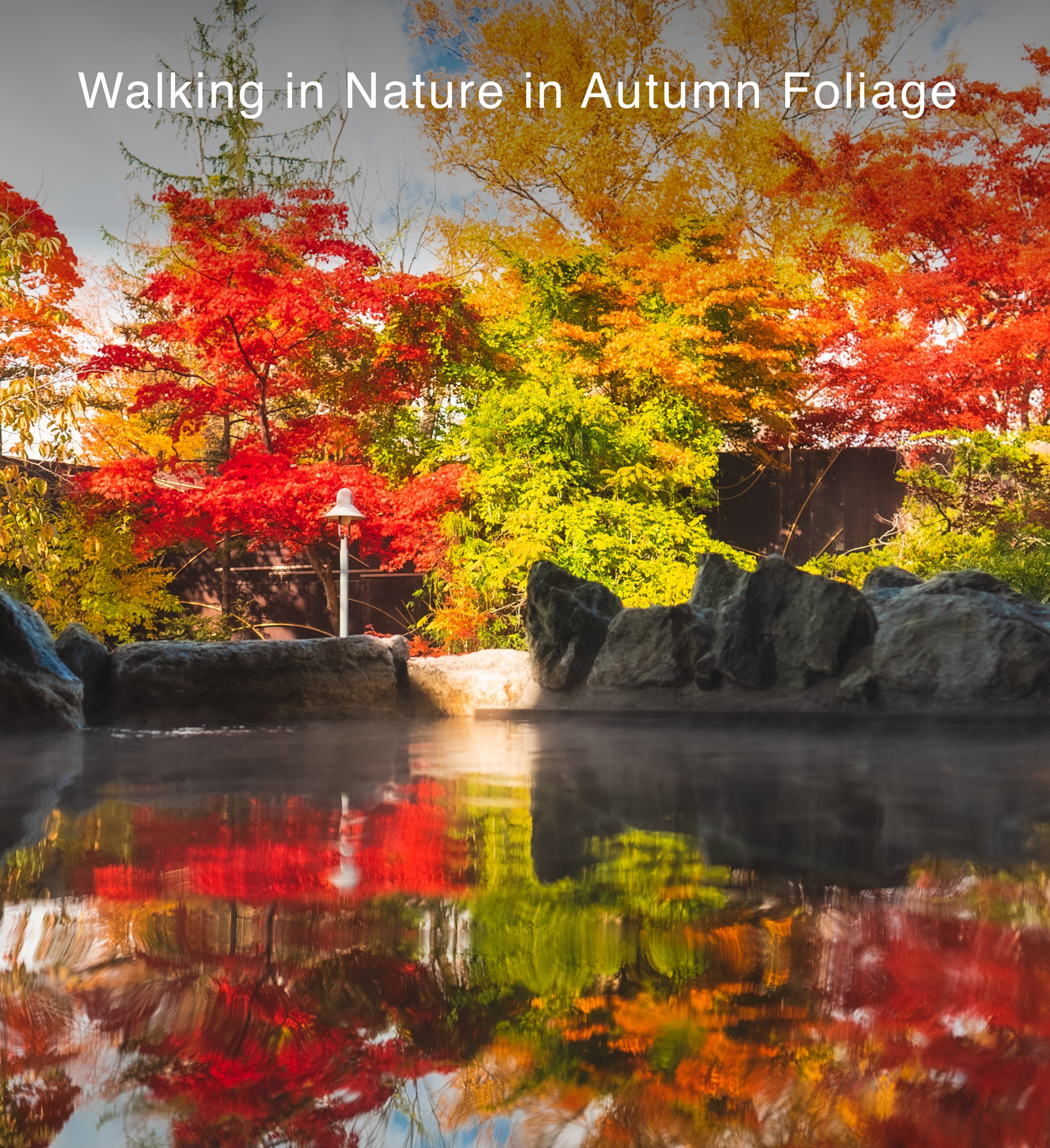 紅葉の自然を散歩