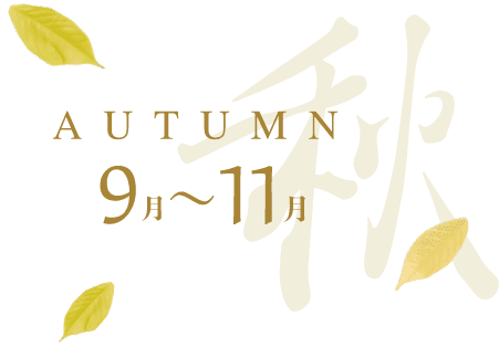 AUTUMN 9月〜11月