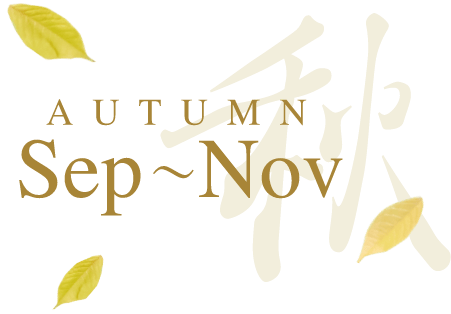 AUTUMN 9月〜11月
