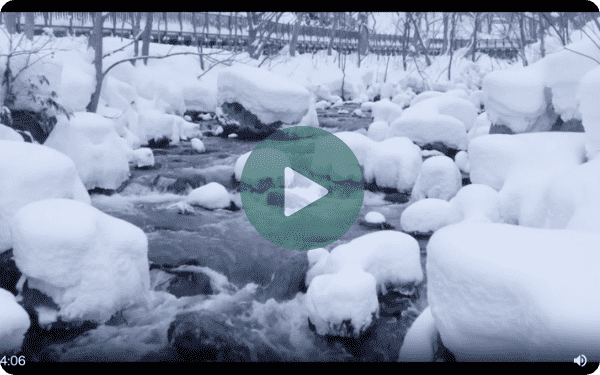 雪中の川中を散策